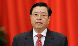 张德江作全国人民代表大会常务委员会工作报告