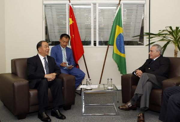 巴西副总统特梅尔会见王乐泉