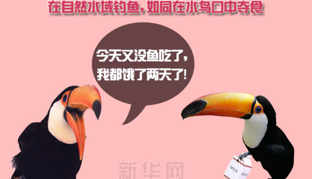 原创公益广告:勿在自然水域钓鱼