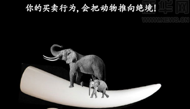 你的买卖行为,会把动物推向绝境！