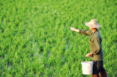 海南琼海群众农耕忙