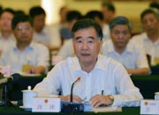 国务院副总理汪洋回答问题