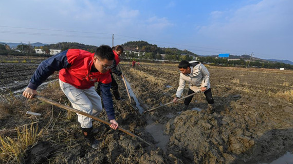 浙江诸暨：防御寒潮 党员志愿者在行动