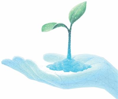 1亿粒种子，这样“备份”