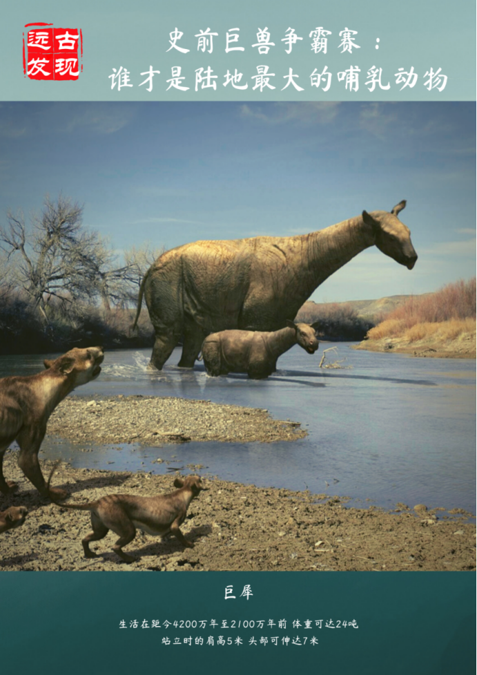 史前巨兽争霸赛：谁才是陆地最大哺乳动物？