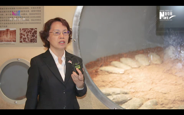 河南自然博物馆——探秘地球生态奇迹