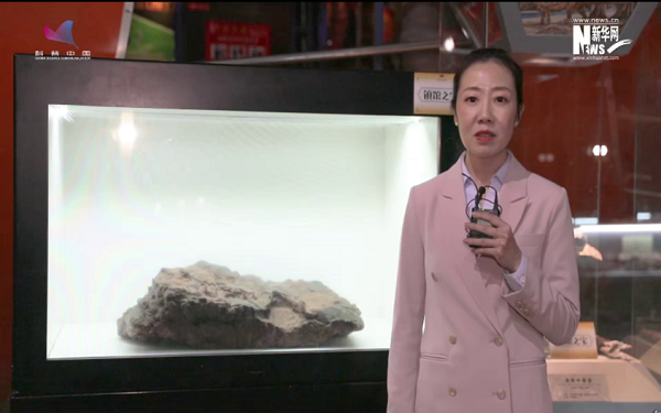 河南自然博物馆——探秘地球生态奇迹