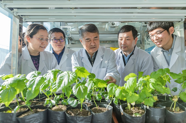 《生物技术通报》：中国转基因大豆的产业化策略