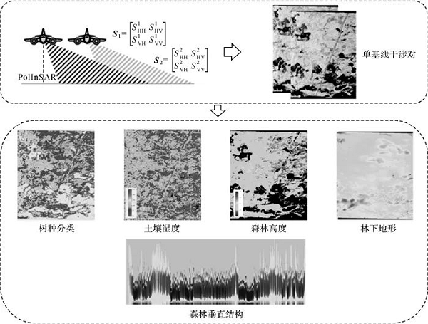 “《测绘学报》：极化干涉SAR地表覆盖层“穿透测绘”技术