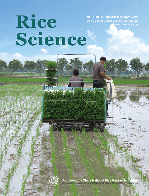 《水稻科学》：中国野生稻种质资源的保护与创新利用