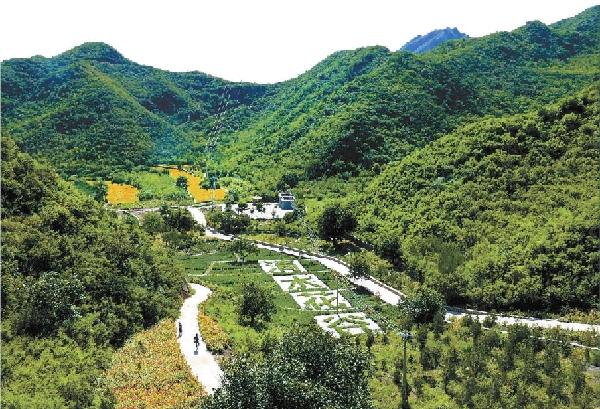 在门头沟下清水村,经过修复的矿山荒沟变为一年三季可赏花的秀美山谷。 在门头沟下清水村,经过修复的矿山荒沟变为一年三季可赏花的秀美山谷。