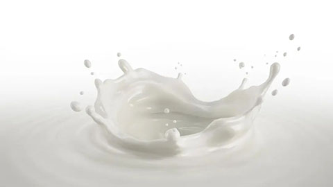 世界牛奶日——了解牛奶的營養價值和選購技巧