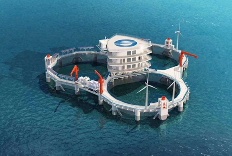 【世界海洋日】现代海水养殖模式——流动的“深海粮仓”