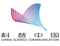 “才”“貌”双全：不止能用来赏玩的玉兰