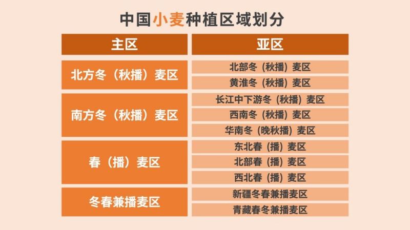 “风吹麦浪”何处寻?看完这篇就知道! “风吹麦浪”何处寻?看完这篇就知道!