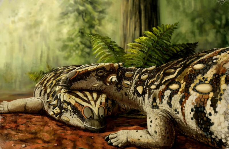 中國發現恐龍新屬種被命名“達泰龍”