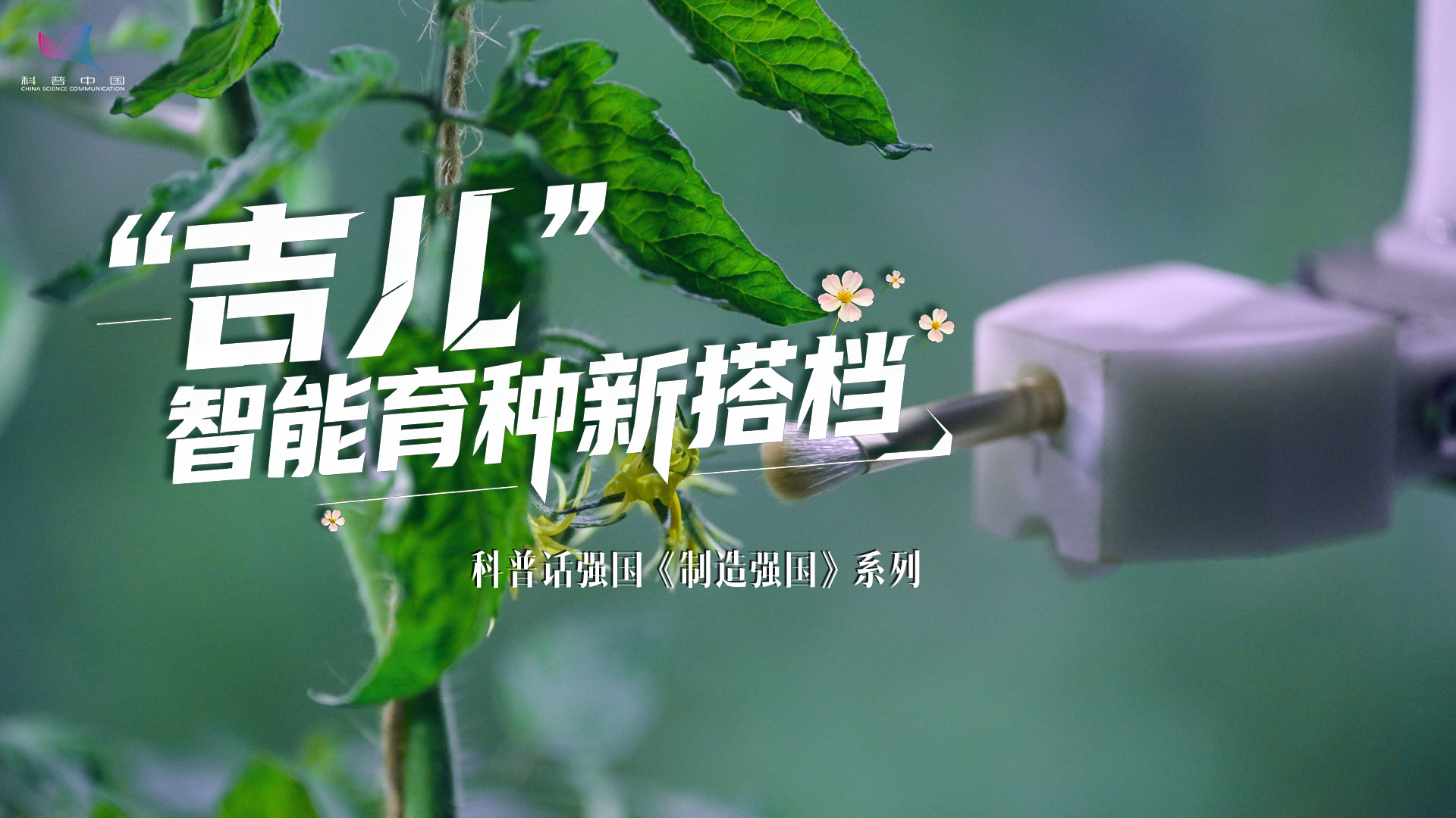 科普话强国丨“吉儿” 智能育种新搭档
