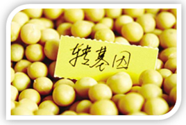 生物技术的核心：转基因技术