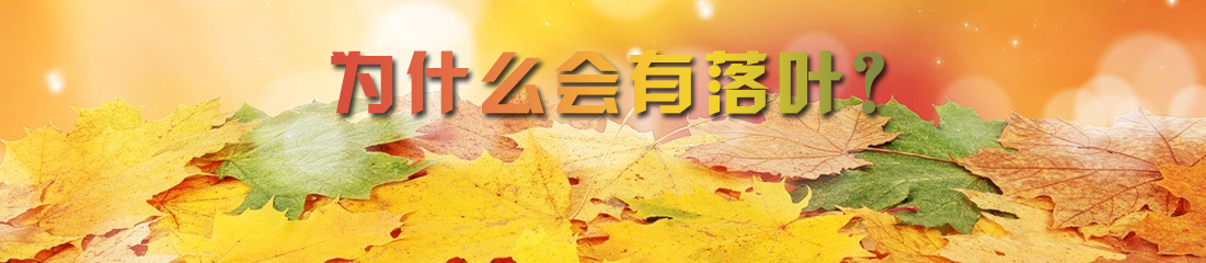 【漫画】为什么会有落叶？