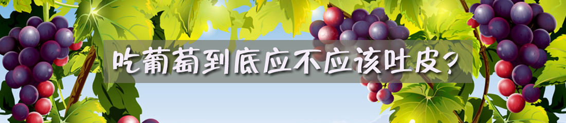 吃葡萄到底应不应该吐皮？