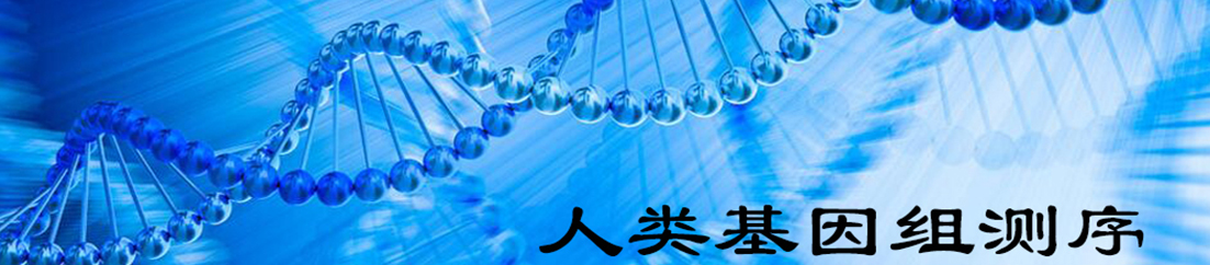 人类基因组测序
