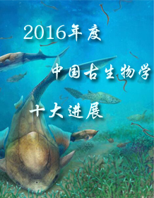 2016年度中国古生物学十大进展新鲜出炉，一起来围观吧！