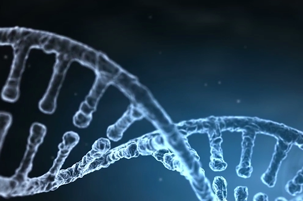 治癌新路径——揭秘DNA同源重组