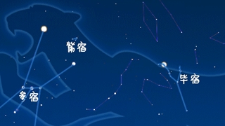 虎年来了，抬头寻找天上的&ldquo;白虎&rdquo;