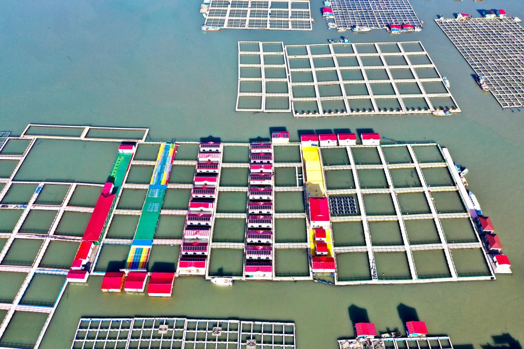 福建宁德:海上田园焕新颜