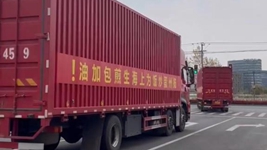 那只&ldquo;跳进&rdquo;爱心蔬菜包的手机咋样啦？请听刷屏&ldquo;奇遇&rdquo;后续&hellip;&hellip;