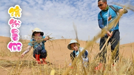 &ldquo;双减&rdquo;后的第一个暑假，小朋友们是怎么度过的？