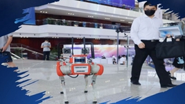 &ldquo;AI+X&rdquo;展现中国智能化新探索