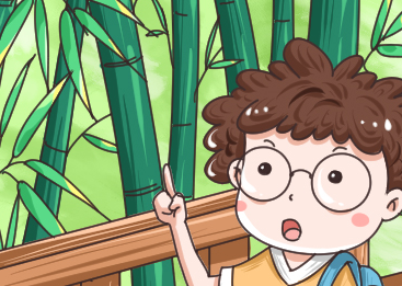 竹子为什么长不粗？