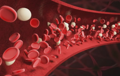 光让血管呈现蓝色