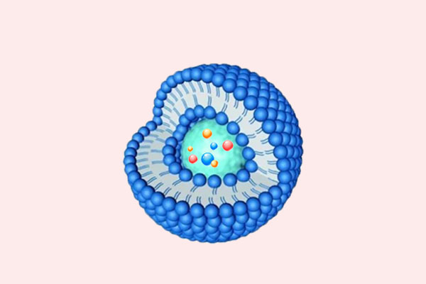 你知道脂质体吗？