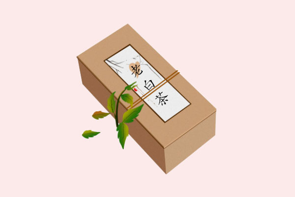 老白茶，究竟是一种什么茶？