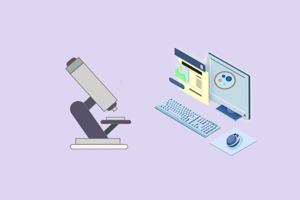 微“观”世界，扫描电子显微镜！