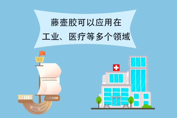 藤壶：海洋中“最难”摆脱的寄生虫