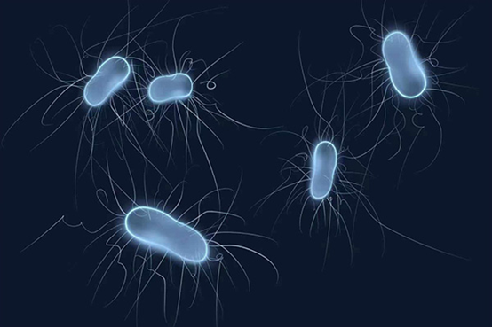 微生物需要的营养来源