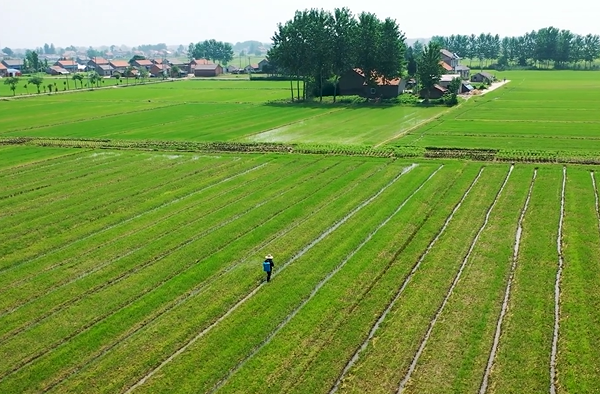 白由路：测土配方让农业减“肥”增效