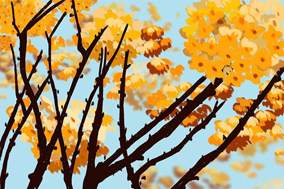 结香和沉香是一回事吗？