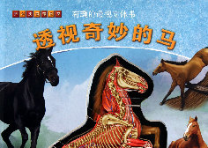 《有趣的透视立体书&mdash;透视奇妙的马 》