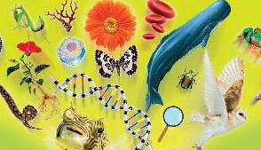 《有趣的生物&mdash;&mdash;生命是什么》