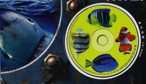 《DK儿童科普书系：海洋》