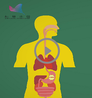 反复加热过的油为什么不宜食用（微视频）