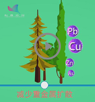 植物&mdash;&mdash;土壤的解毒大师（微视频）