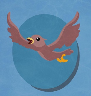 鸟类为什么会飞行