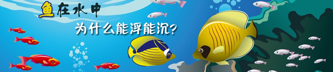 【漫画】鱼在水中为什么能浮能沉？