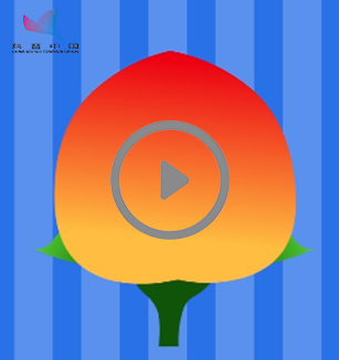 小蜗牛的疑问:果实是怎样形成的呢