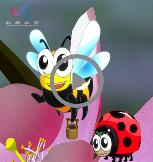 蜜蜂甲虫带你认识桃花